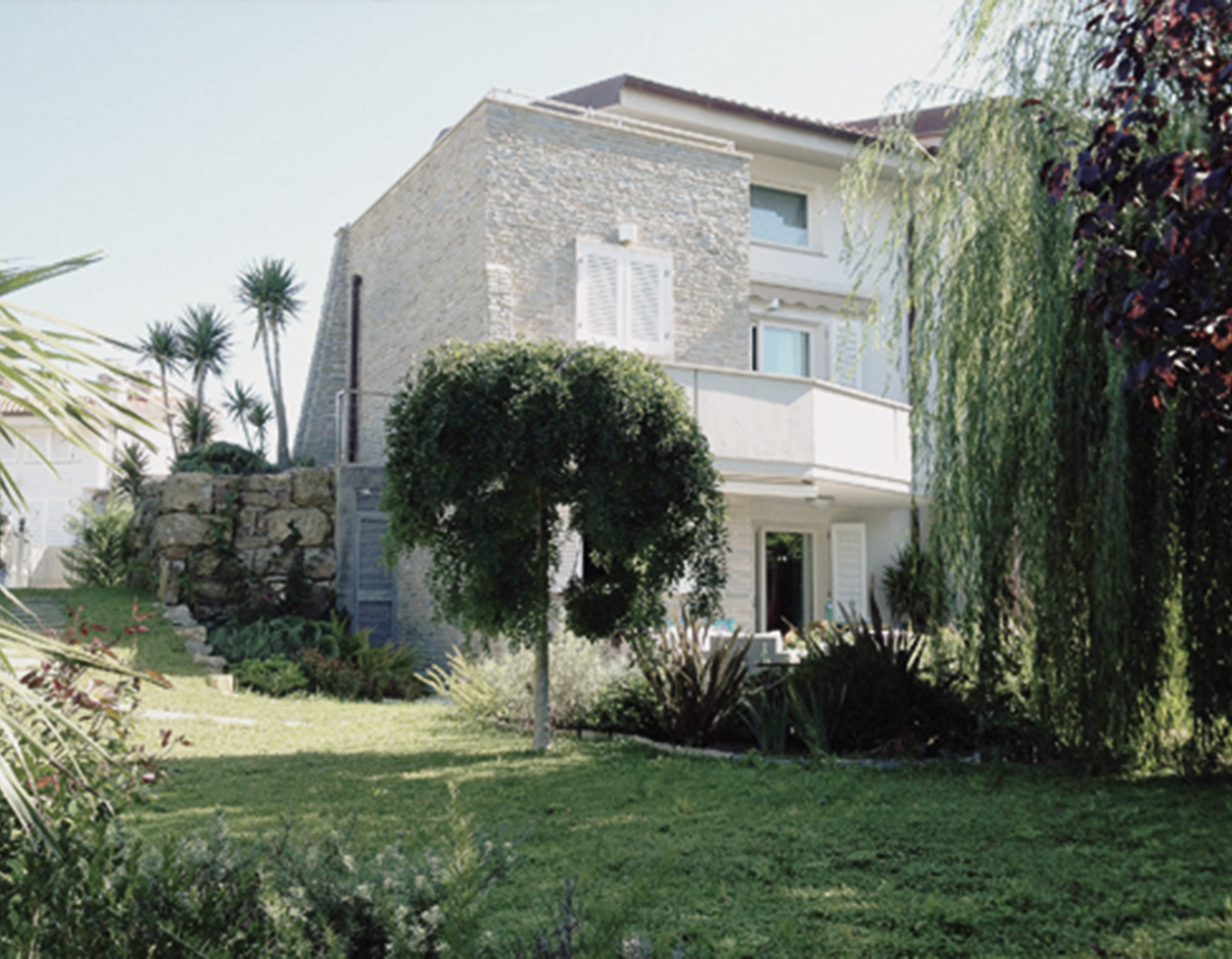 Immagine 6